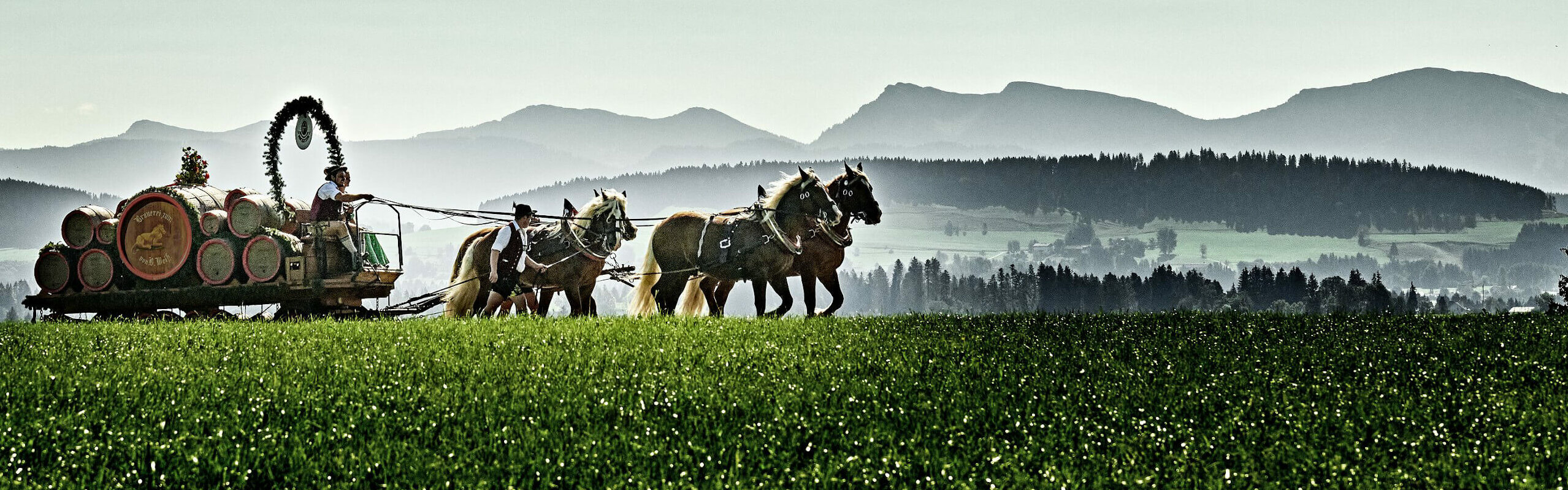 Altes Bierfuhrwerk mit Pferdegespann fährt vor Allgäuer Bergen über ein Feld.