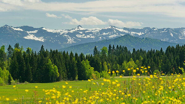 Panorama Allgäuer Berge Scheidegg