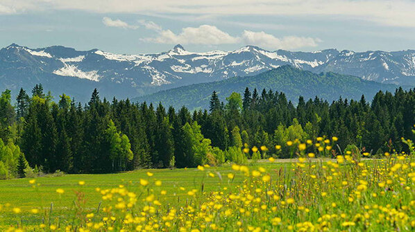 Panorama Allgäuer Berge Scheidegg